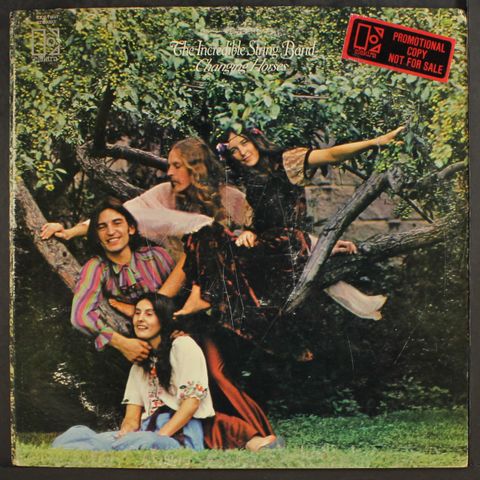 INCREDIBLE STRING BAND