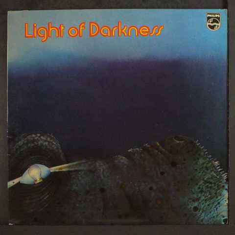 LIGHT OF DARKNESS