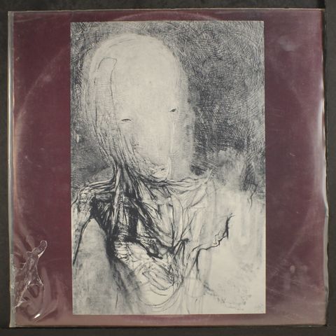 BIOTA