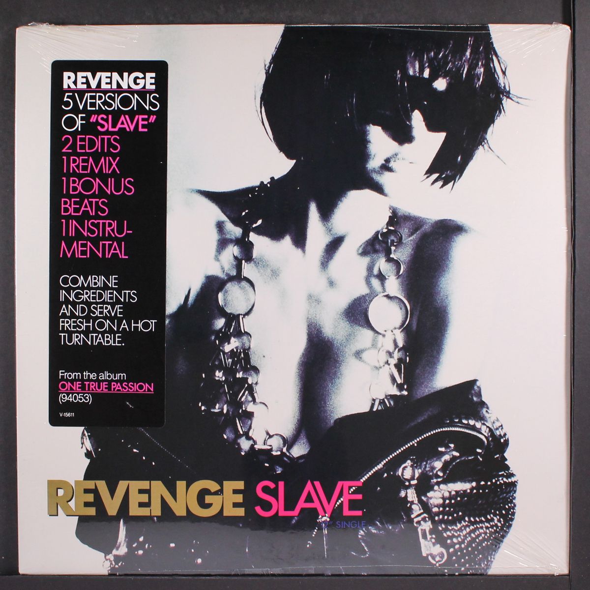slave by REVENGE
