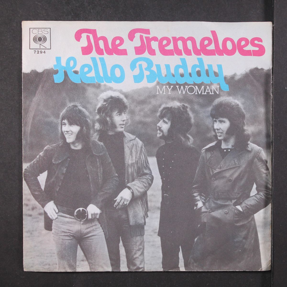 hello buddy by TREMELOES