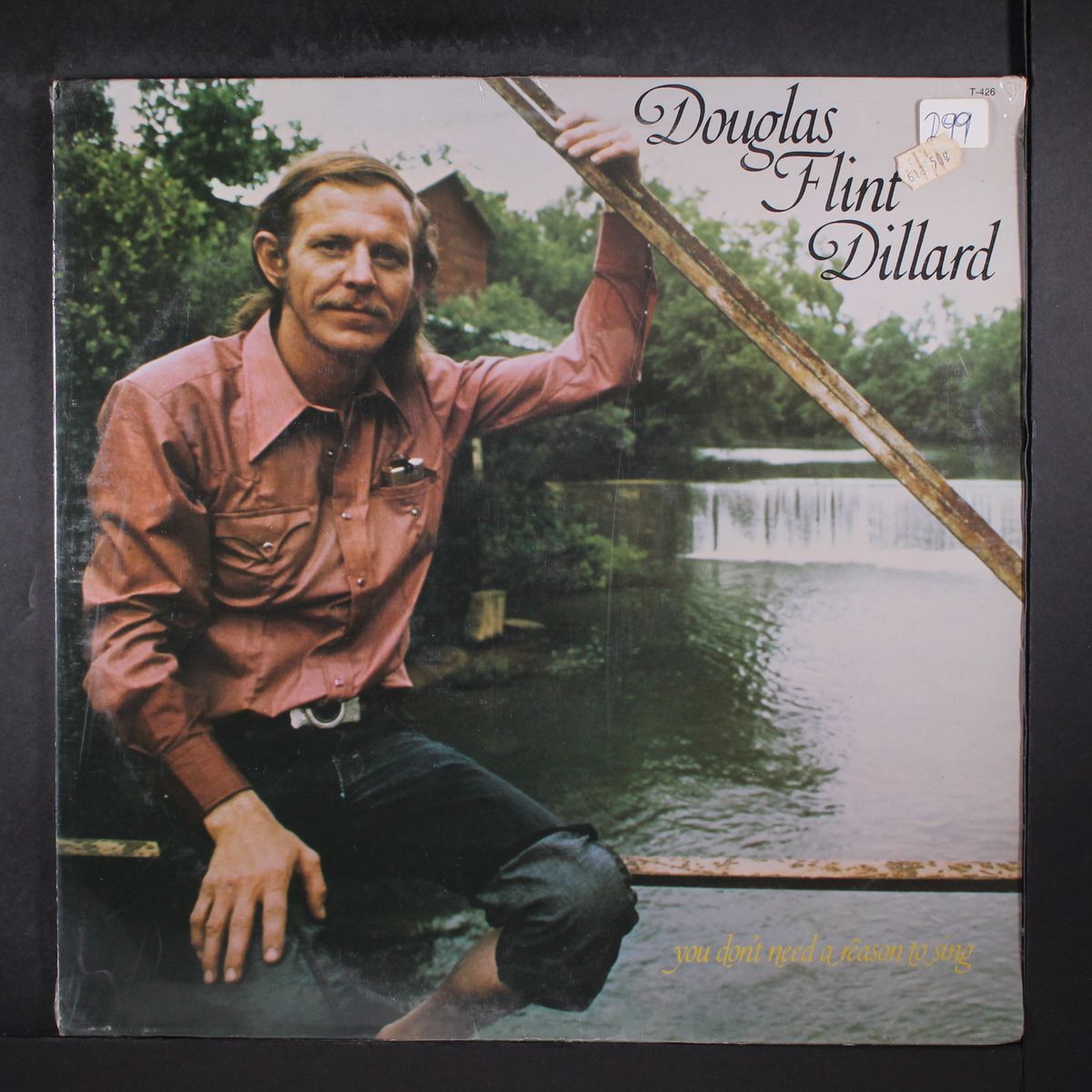 you don't need a reason to sing by DOUGLAS FLINT DILLARD