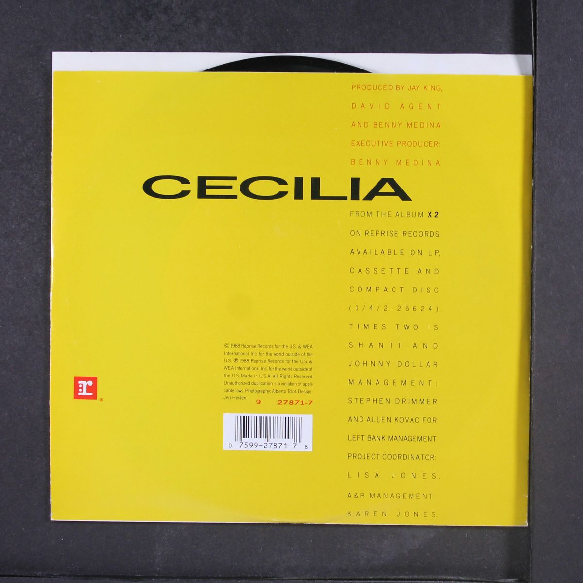 cecilia / romeo by TIMES TWO