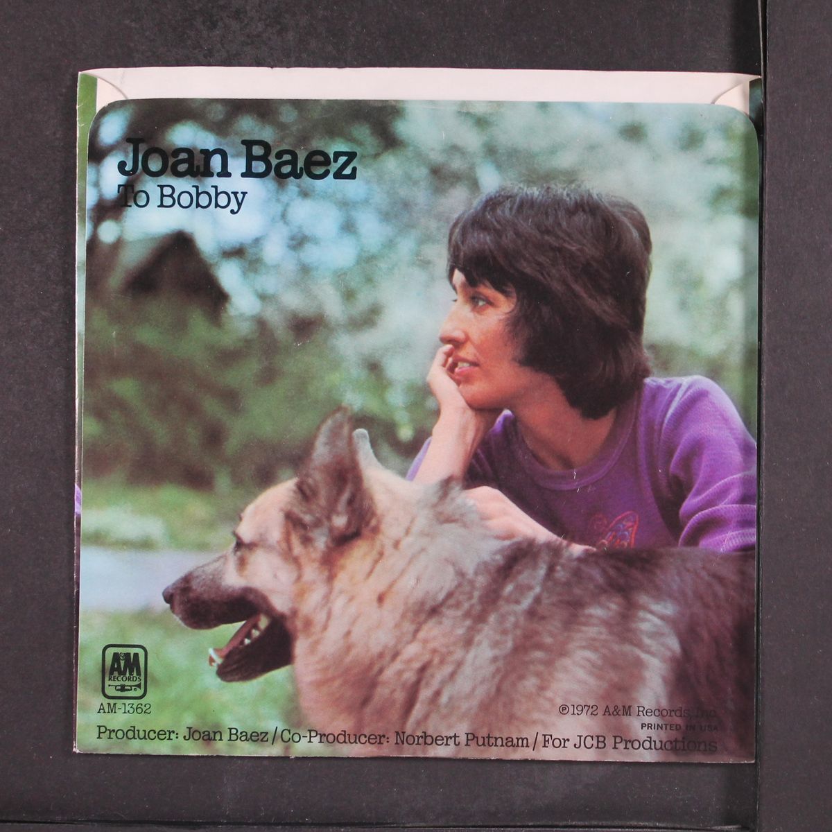 in the quiet morning / to bobby by JOAN BAEZ