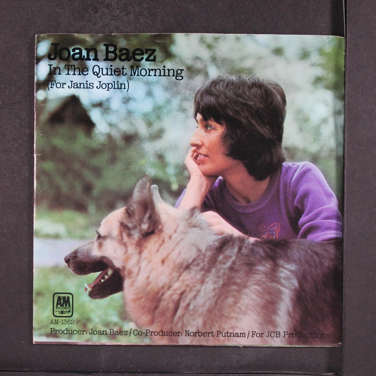 in the quiet morning / to bobby by JOAN BAEZ