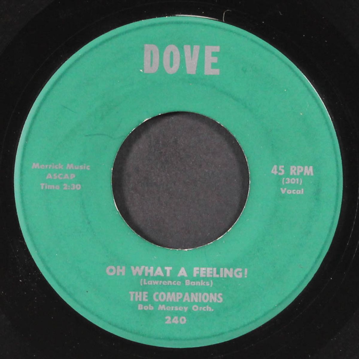 falling / oh what a feeling by COMPANIONS