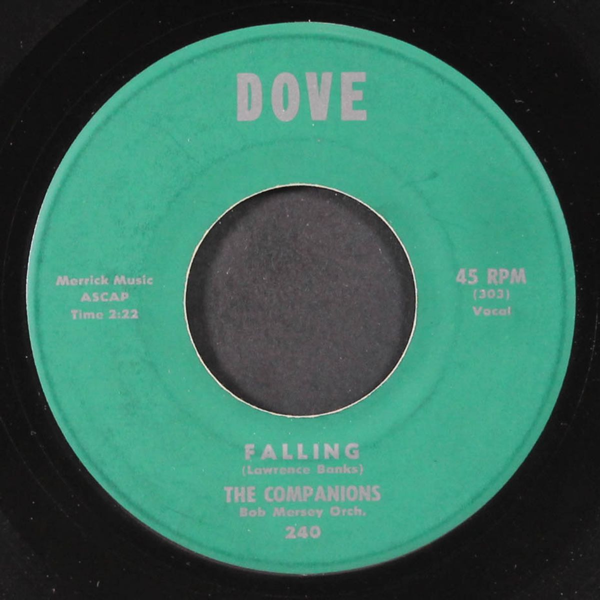 falling / oh what a feeling by COMPANIONS