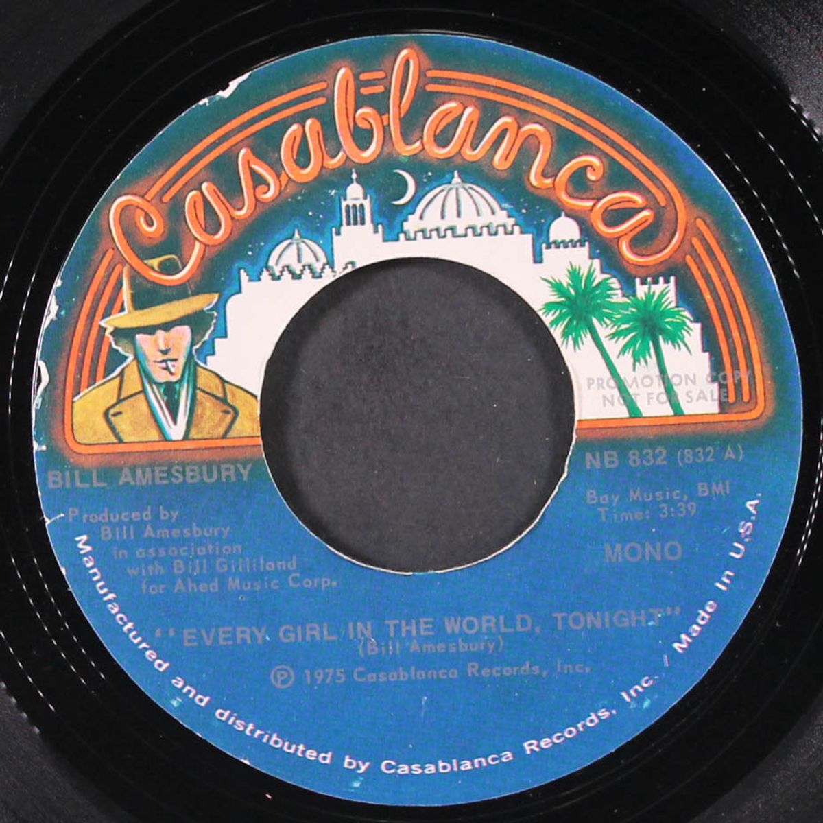 every girl in the world tonight / mono by BILL AMESBURY