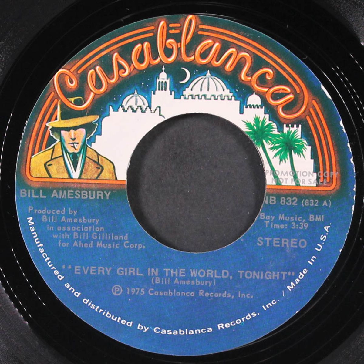 every girl in the world tonight / mono by BILL AMESBURY