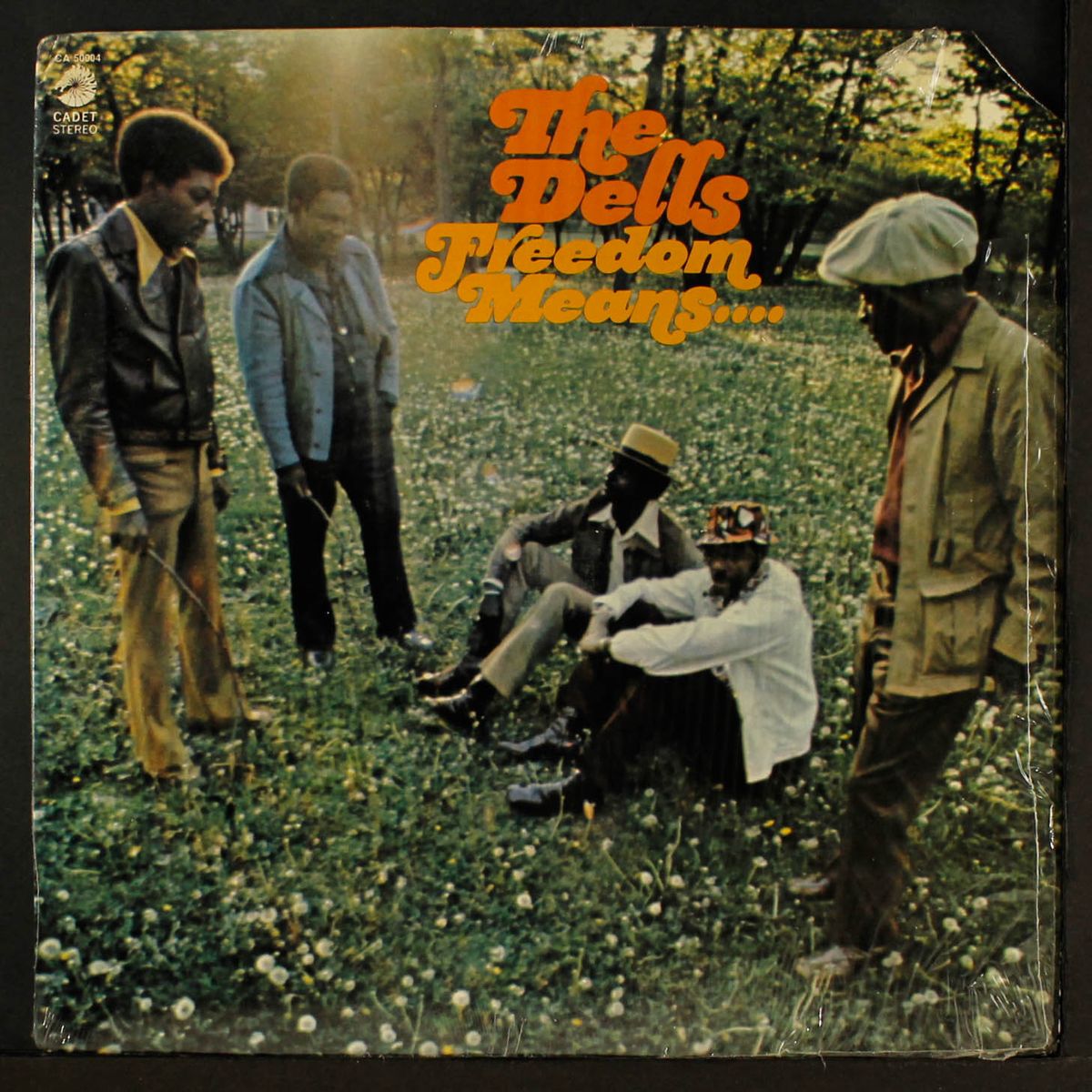 freedom means... by DELLS