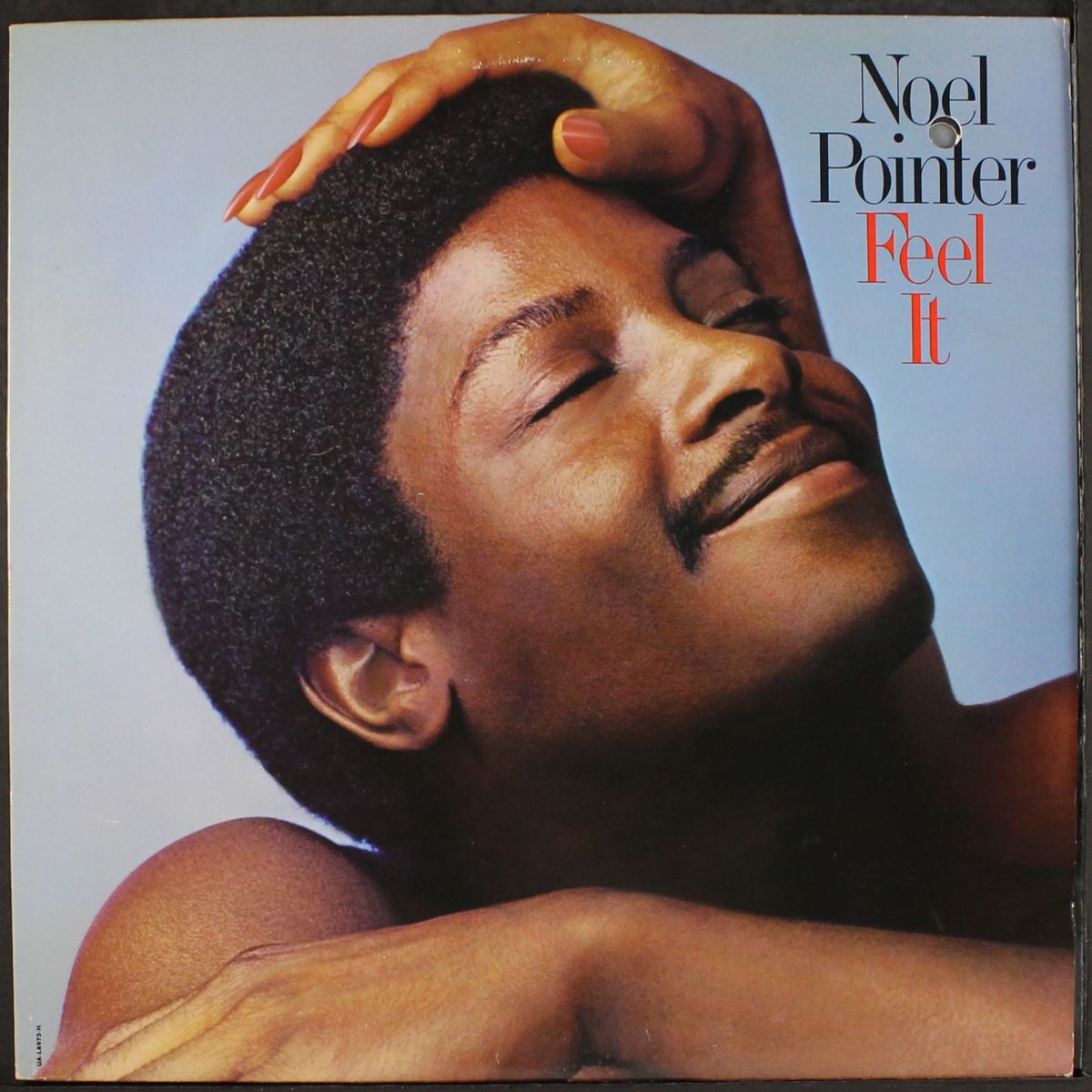 feel it by NOEL POINTER