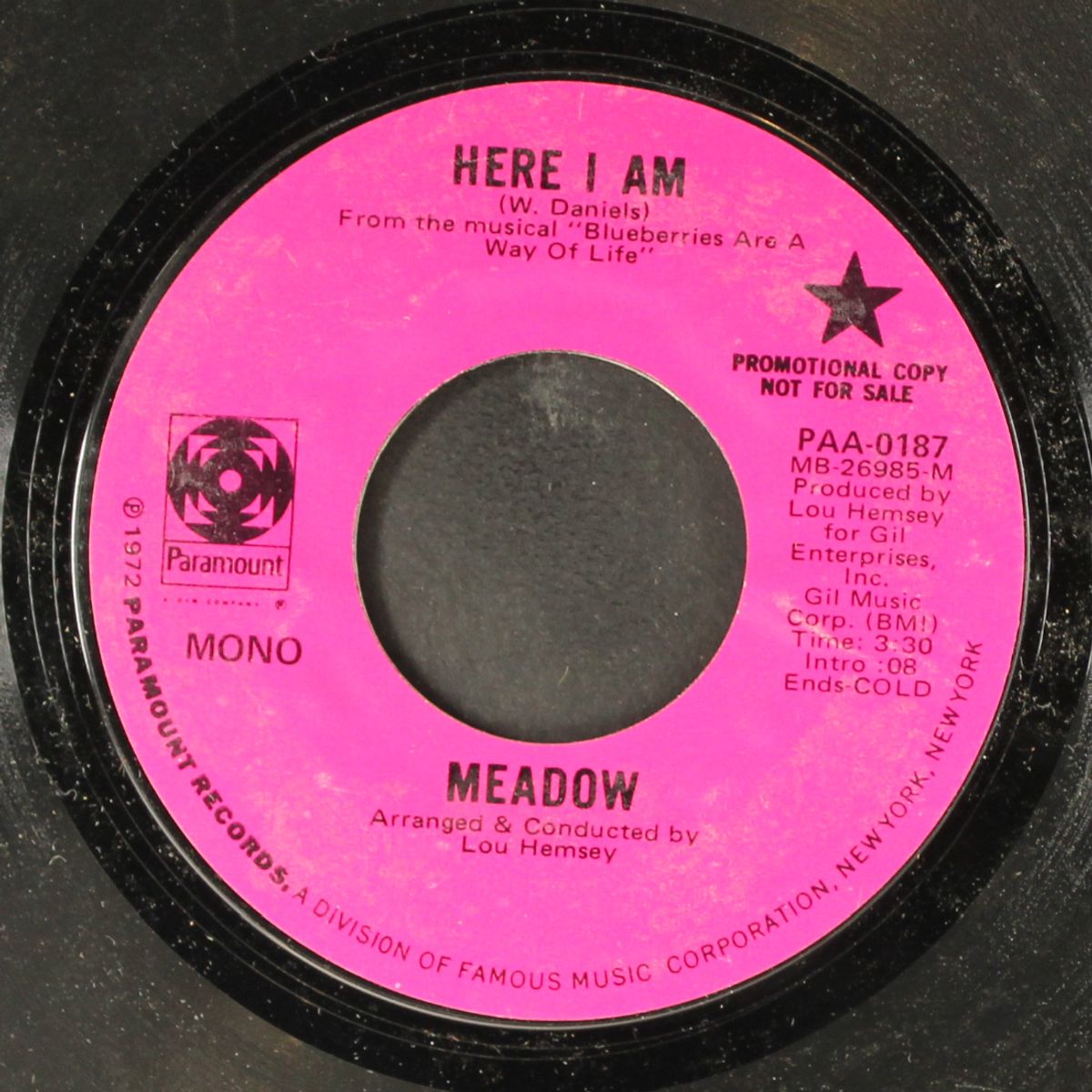 here i am / mono by MEADOW