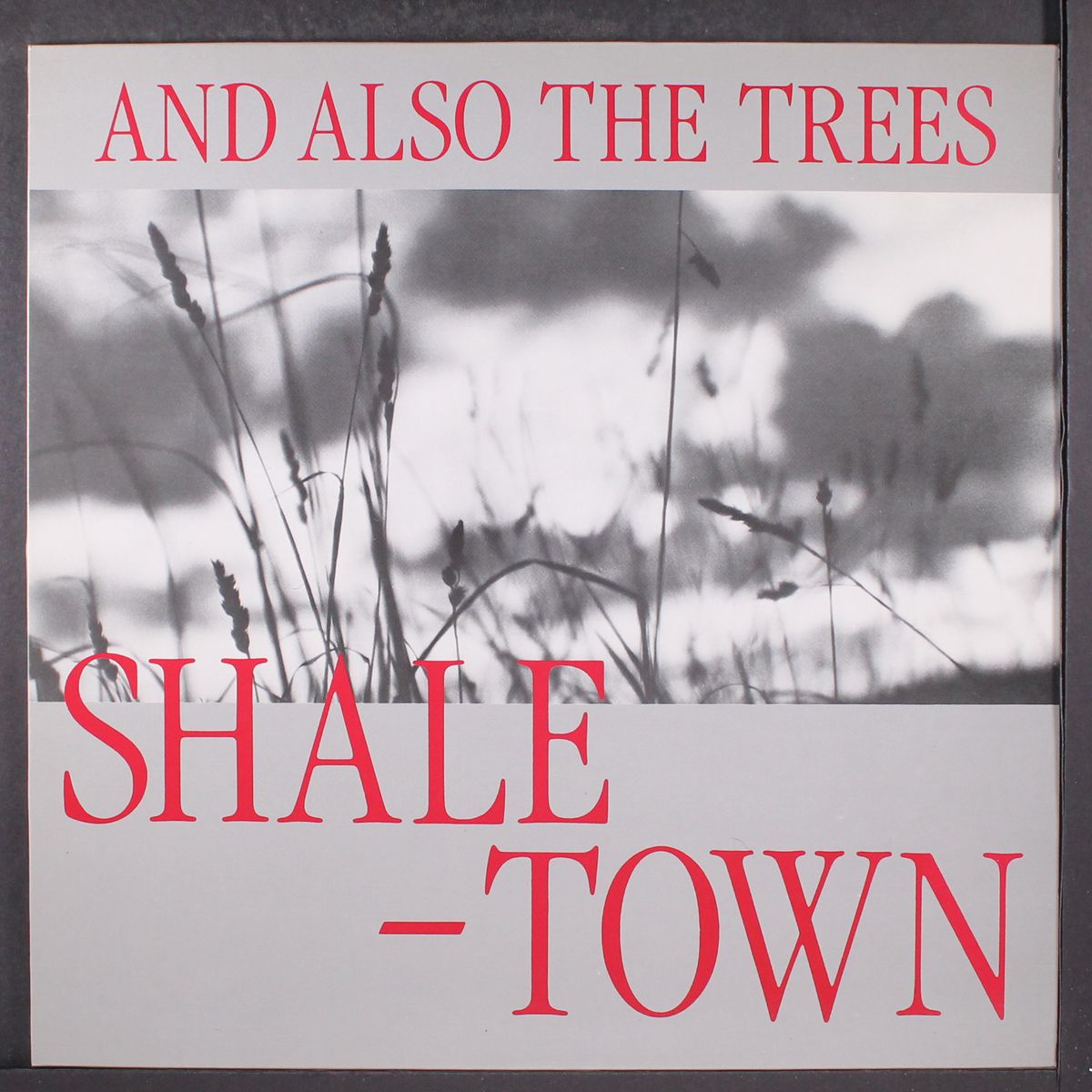 shaletown by AND ALSO THE TREES