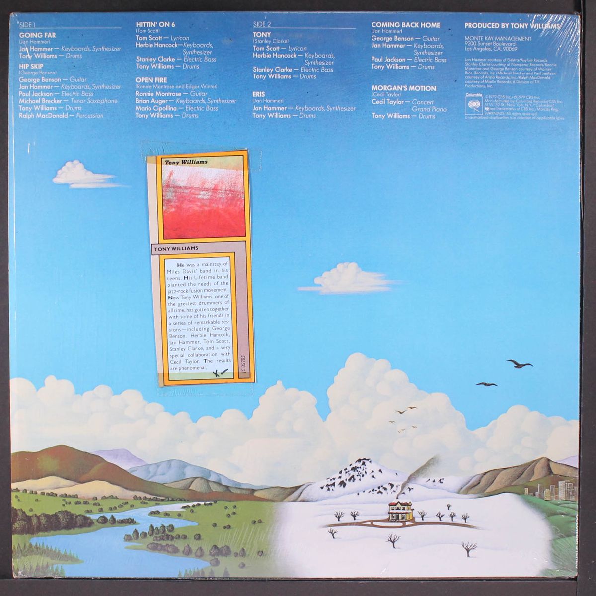 the joy of flying by TONY WILLIAMS
