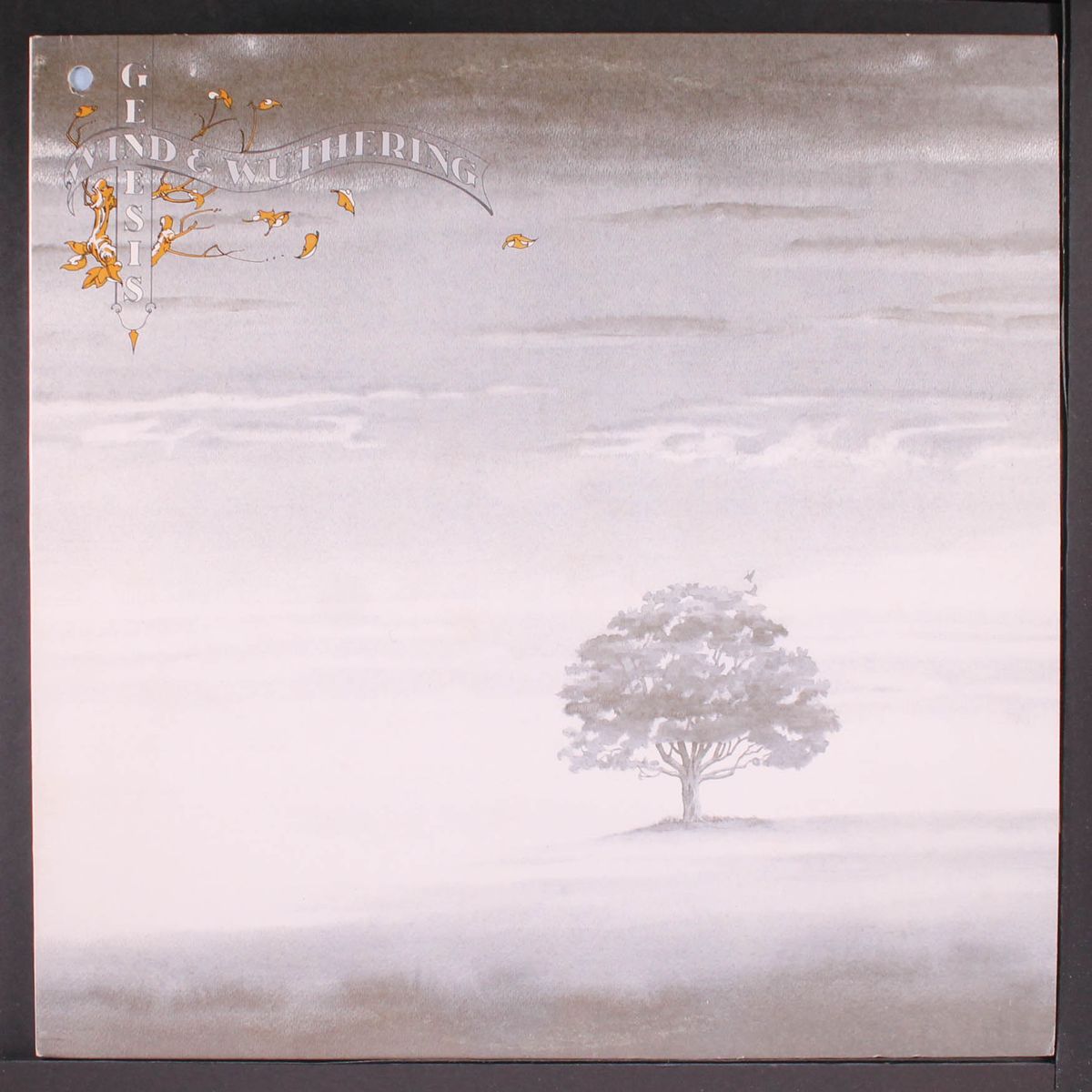 wind & wuthering by GENESIS