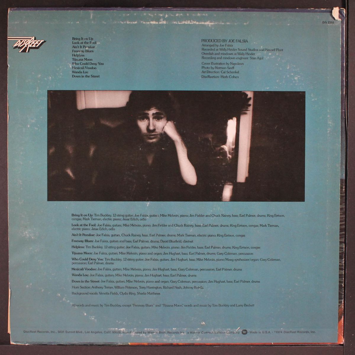 look at the fool by TIM BUCKLEY