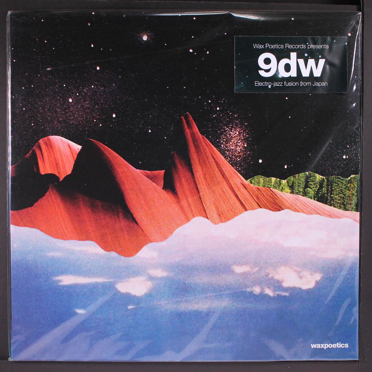 9dw by 9DW