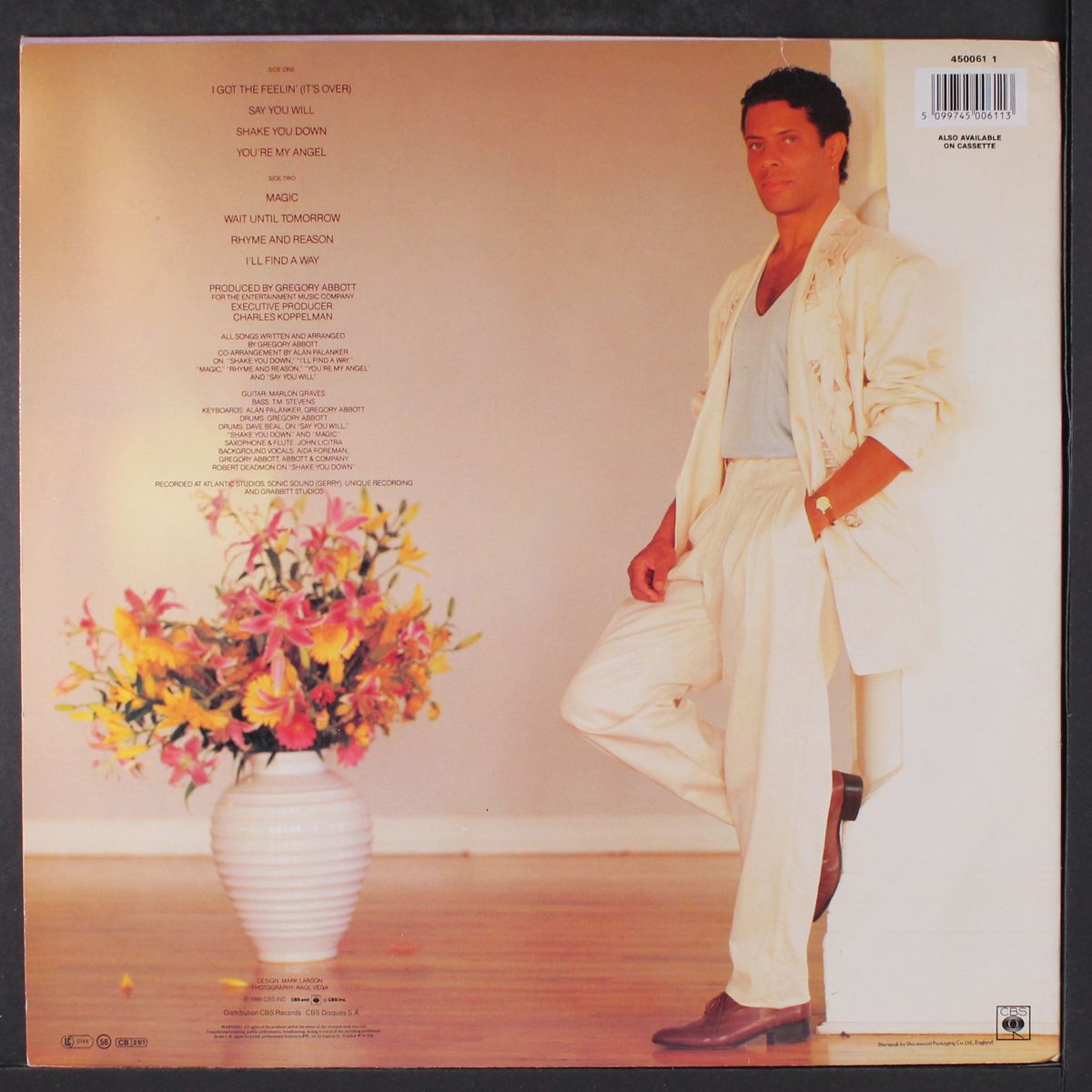 shake you down by GREGORY ABBOTT