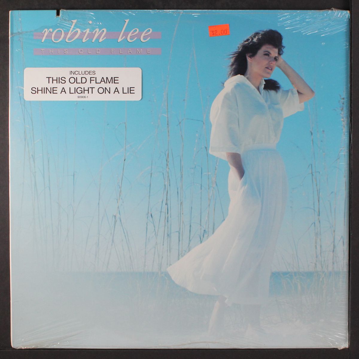 this old flame by ROBIN LEE
