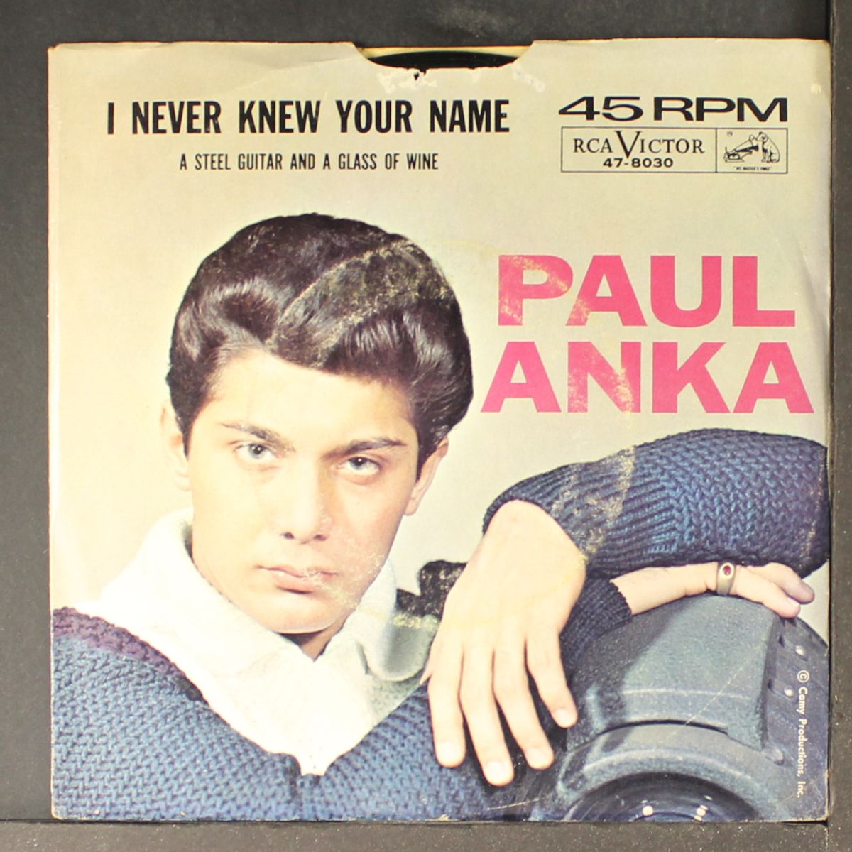 a steel guitar and a glass of wne by PAUL ANKA