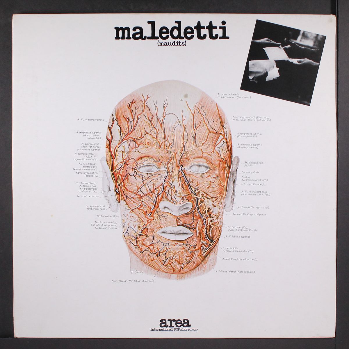 maledetti (maudits) by AREA