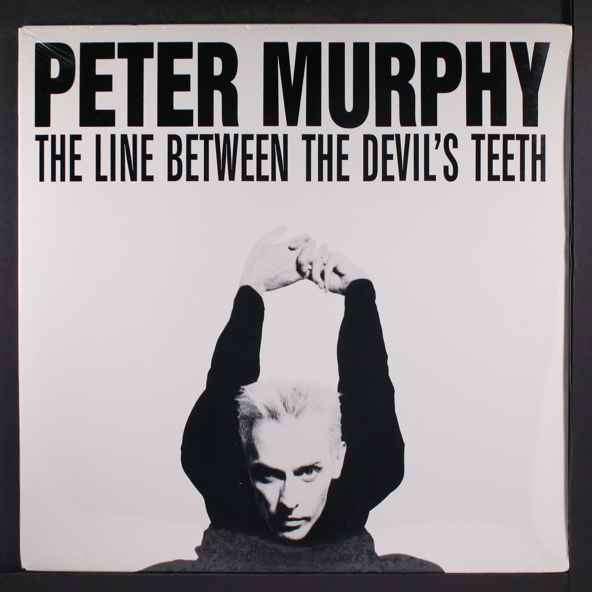 the line between the devil's teeth by PETER MURPHY