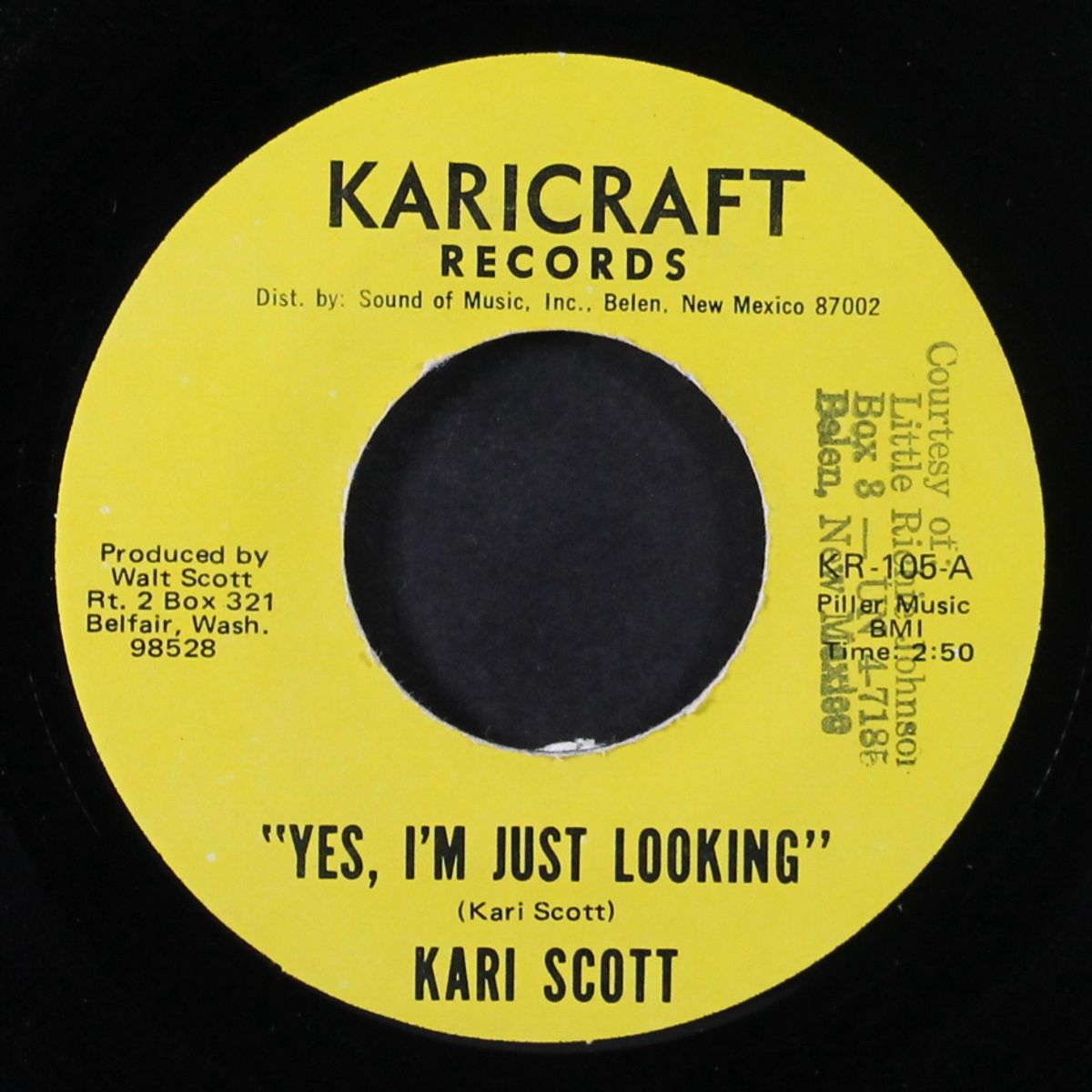 tailgater / yes, i'm just looking by KARI SCOTT
