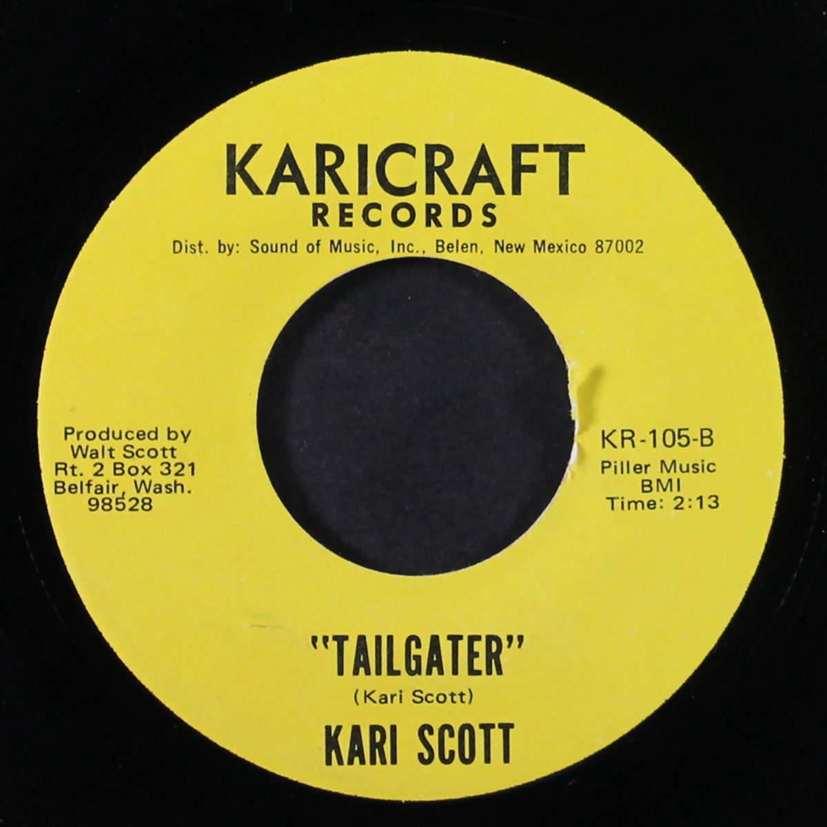 tailgater / yes, i'm just looking by KARI SCOTT