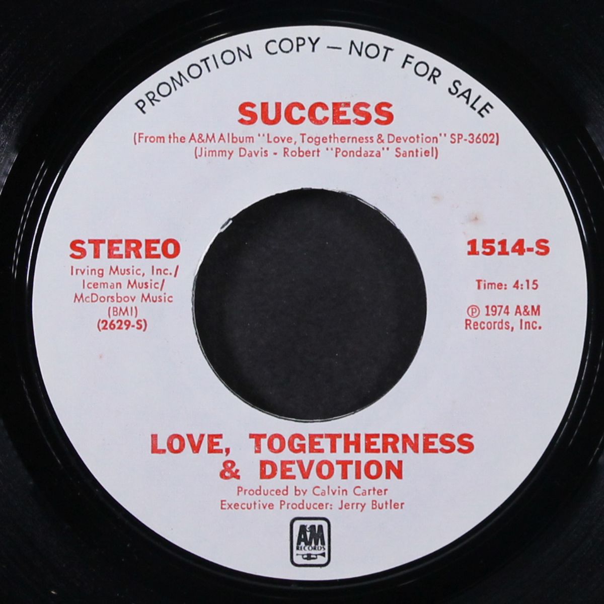 success / short by LOVE, TOGETHERNESS & DEVOTION