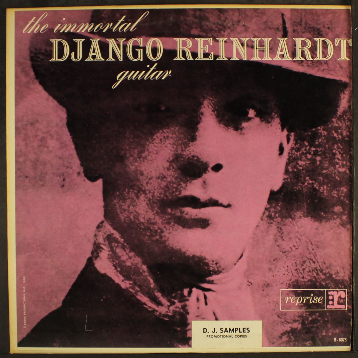 immortal guitar by DJANGO REINHARDT
