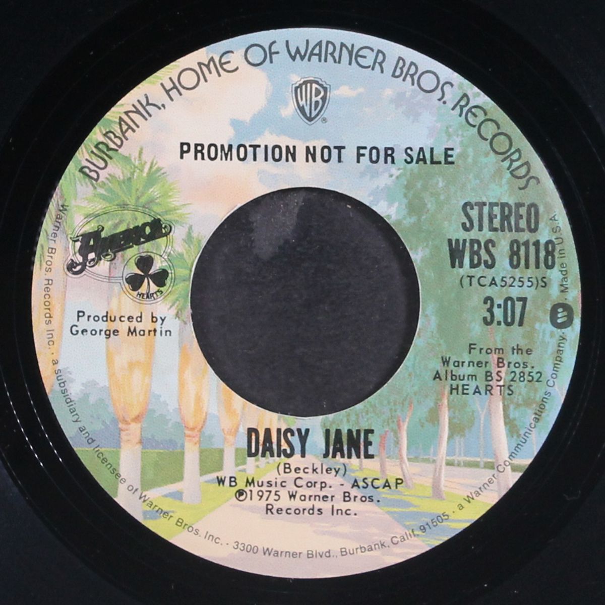 daisy jane / mono by AMERICA