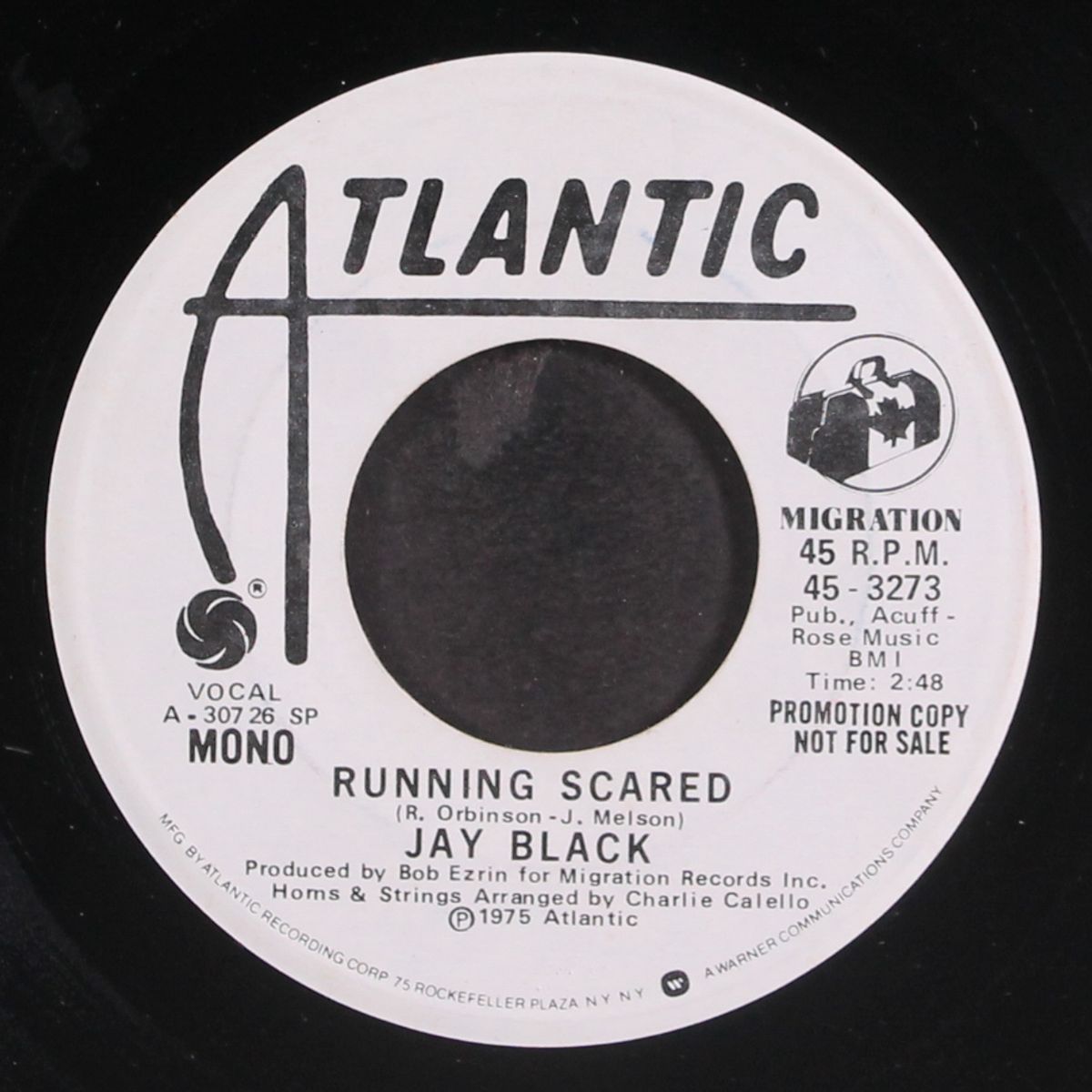 running scared / dolphins by JAY BLACK