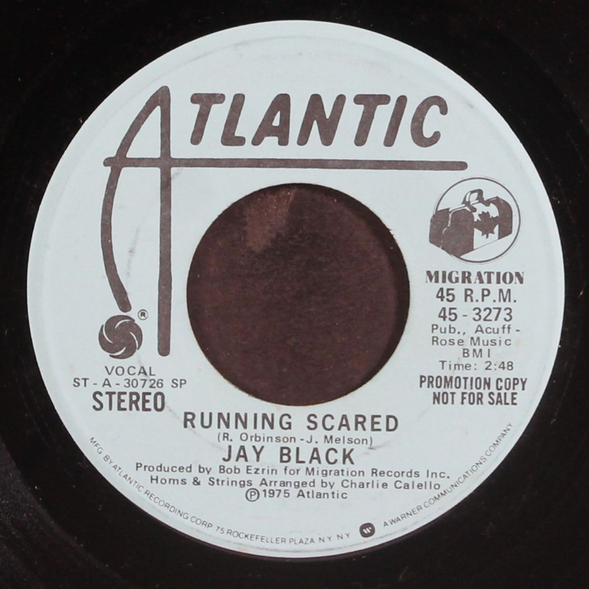 running scared / dolphins by JAY BLACK
