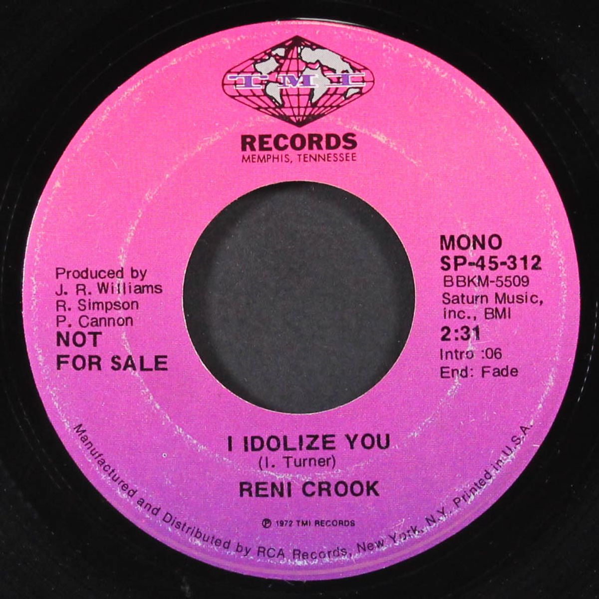 i idolize you / mono by RENI CROOK