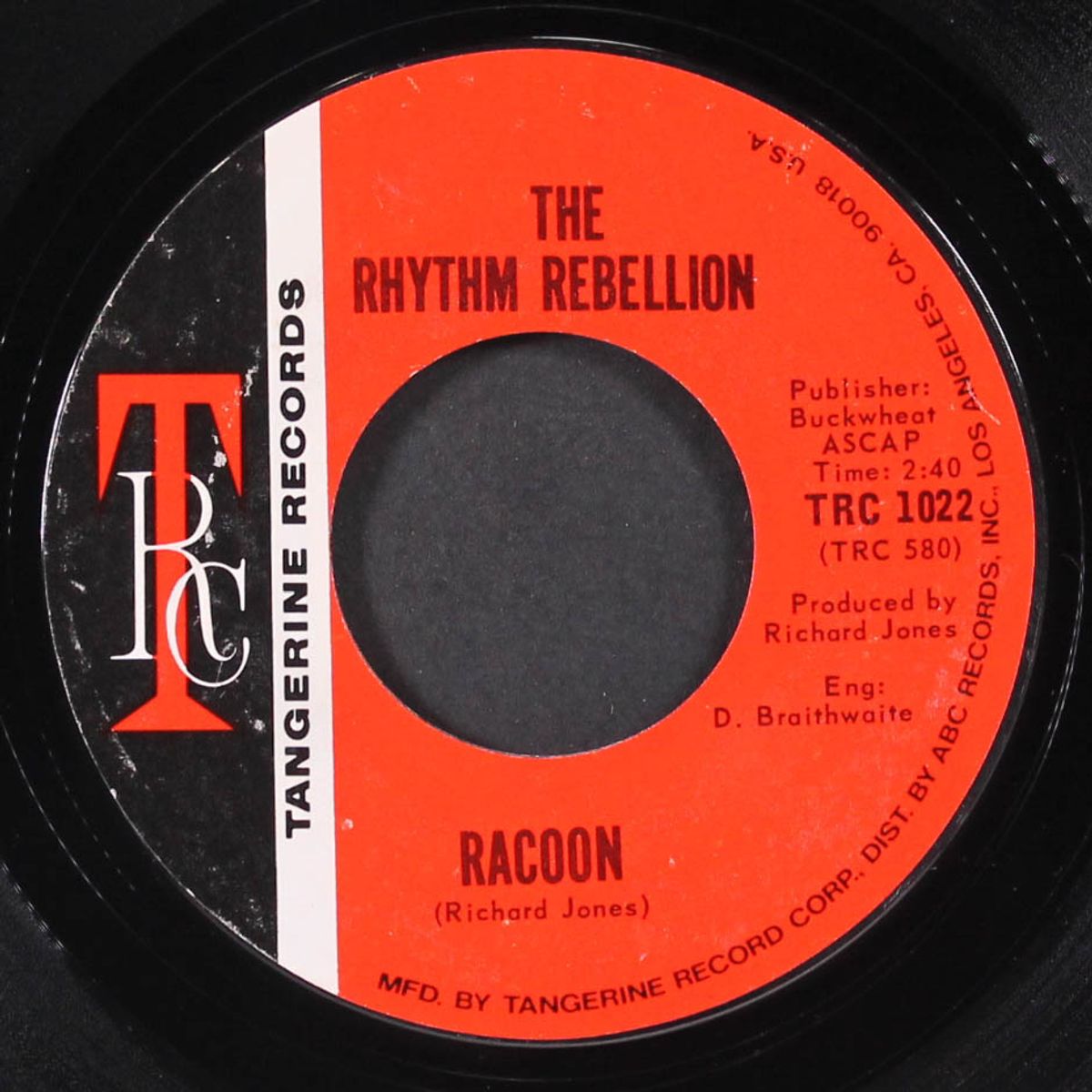 spellbinder / racoon by RHYTHM REBELLION
