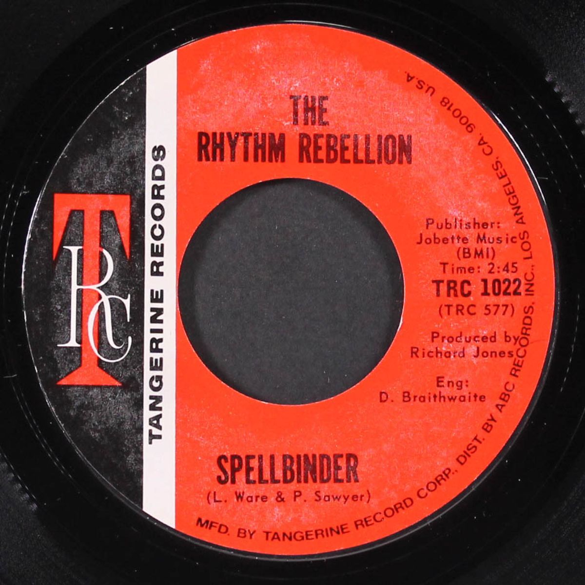 spellbinder / racoon by RHYTHM REBELLION