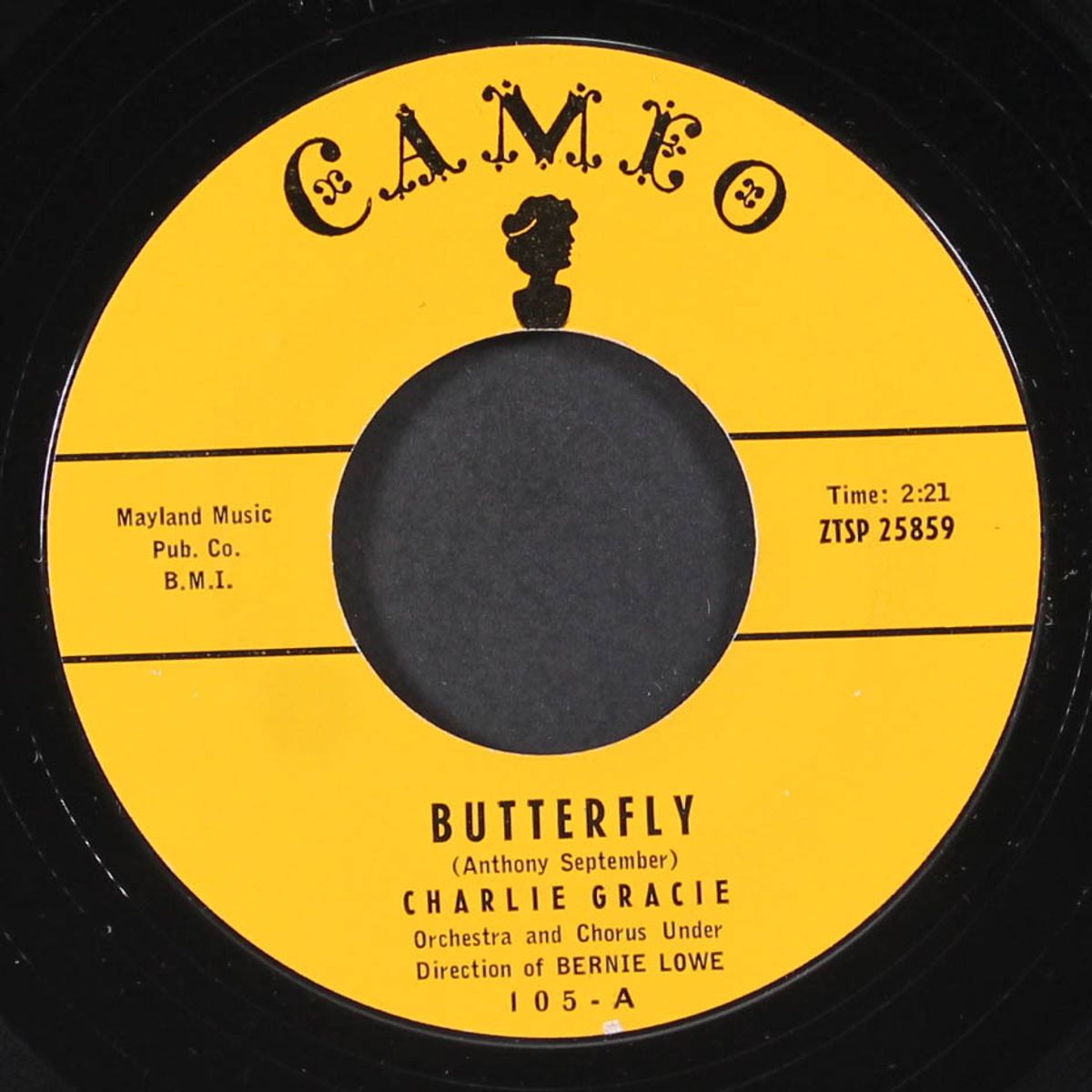 butterfly / ninety-nine ways by CHARLIE GRACIE
