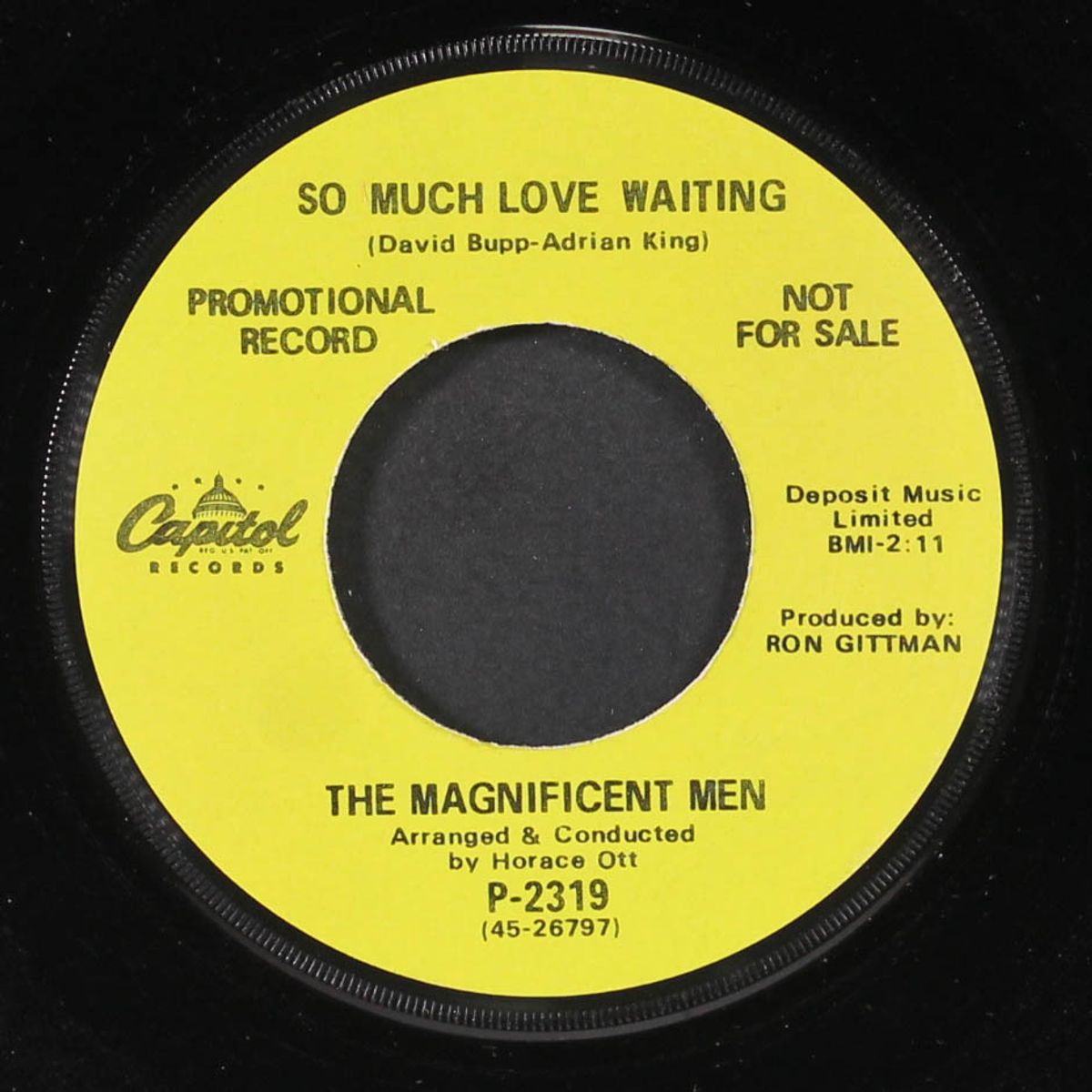 save the country / so much love waiting by MAGNIFICENT MEN