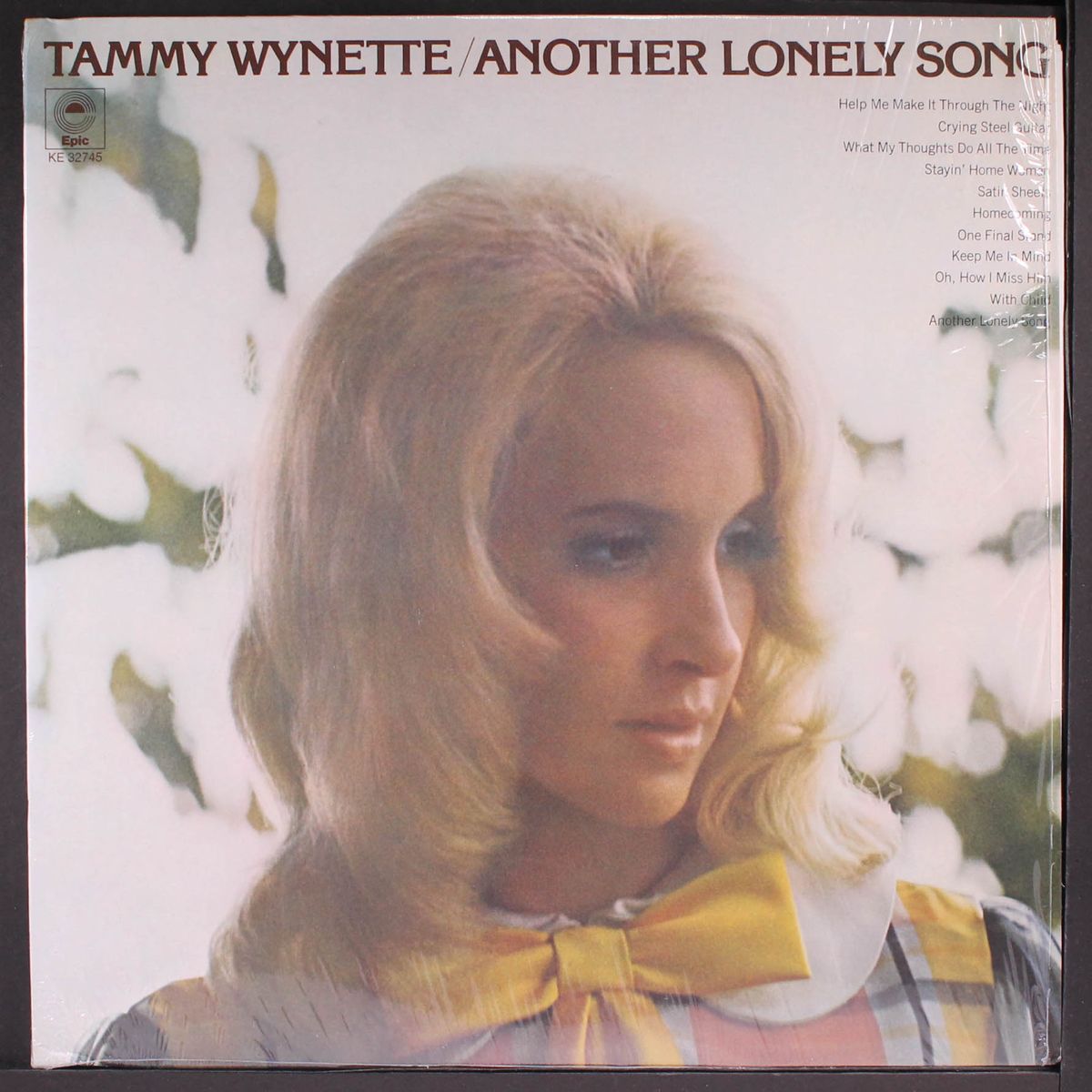 another lonely song by TAMMY WYNETTE