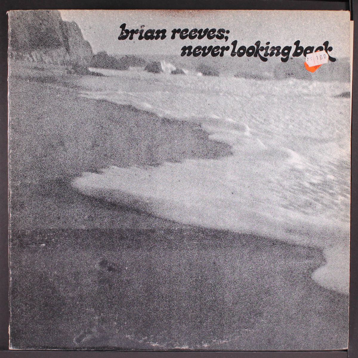never looking back by BRIAN REEVES