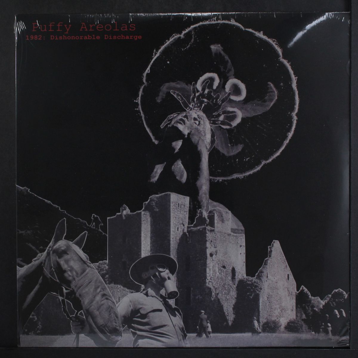 1982: dishonorable discharge by PUFFY AREOLAS