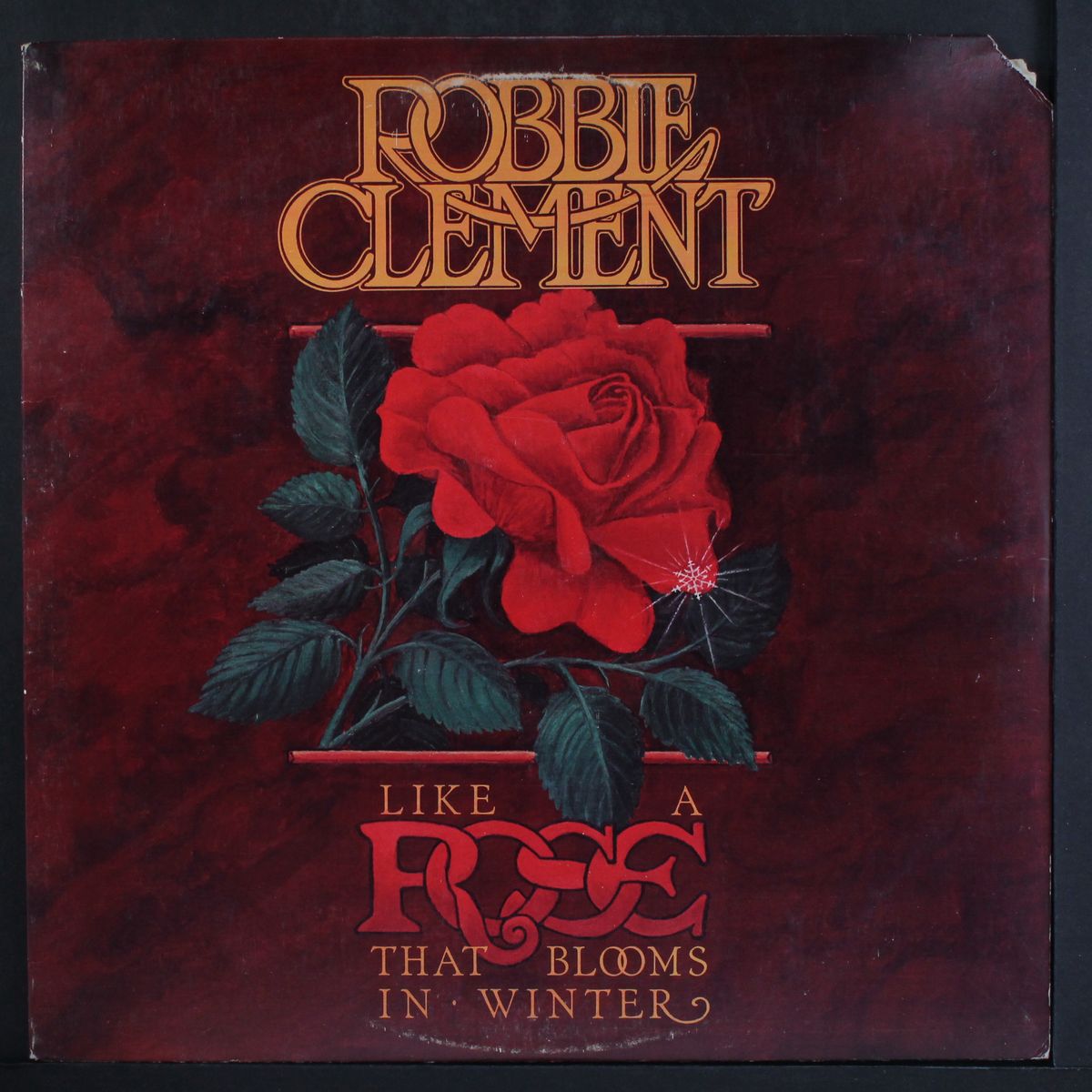like a rose that blooms in winter by ROBBIE CLEMENT