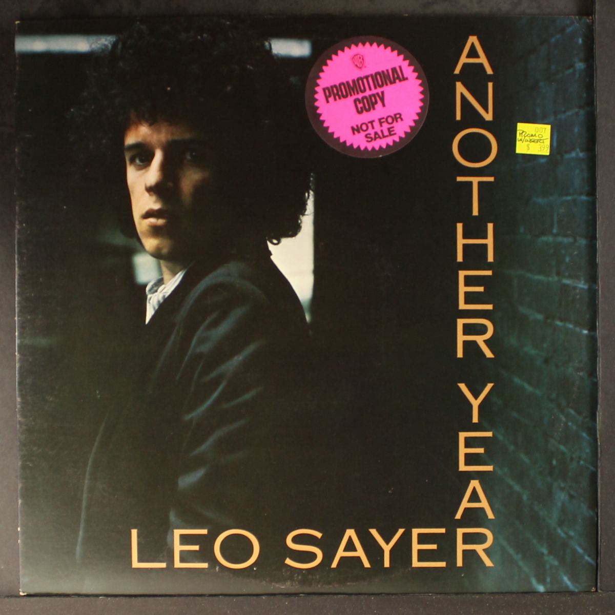 another year by LEO SAYER