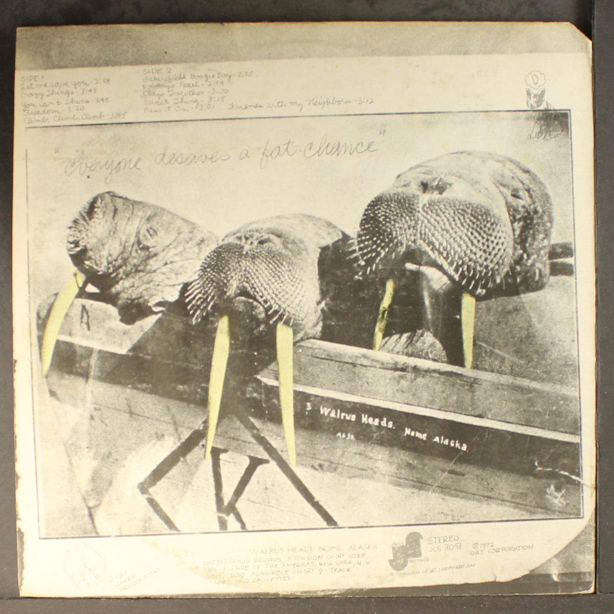 walrus by WALRUS