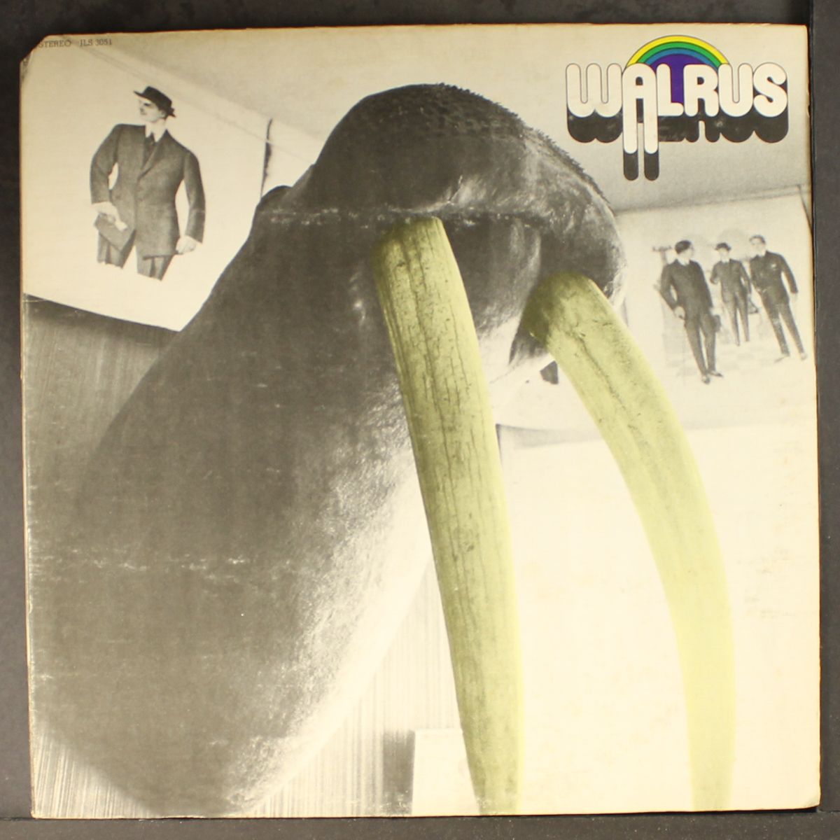 walrus by WALRUS