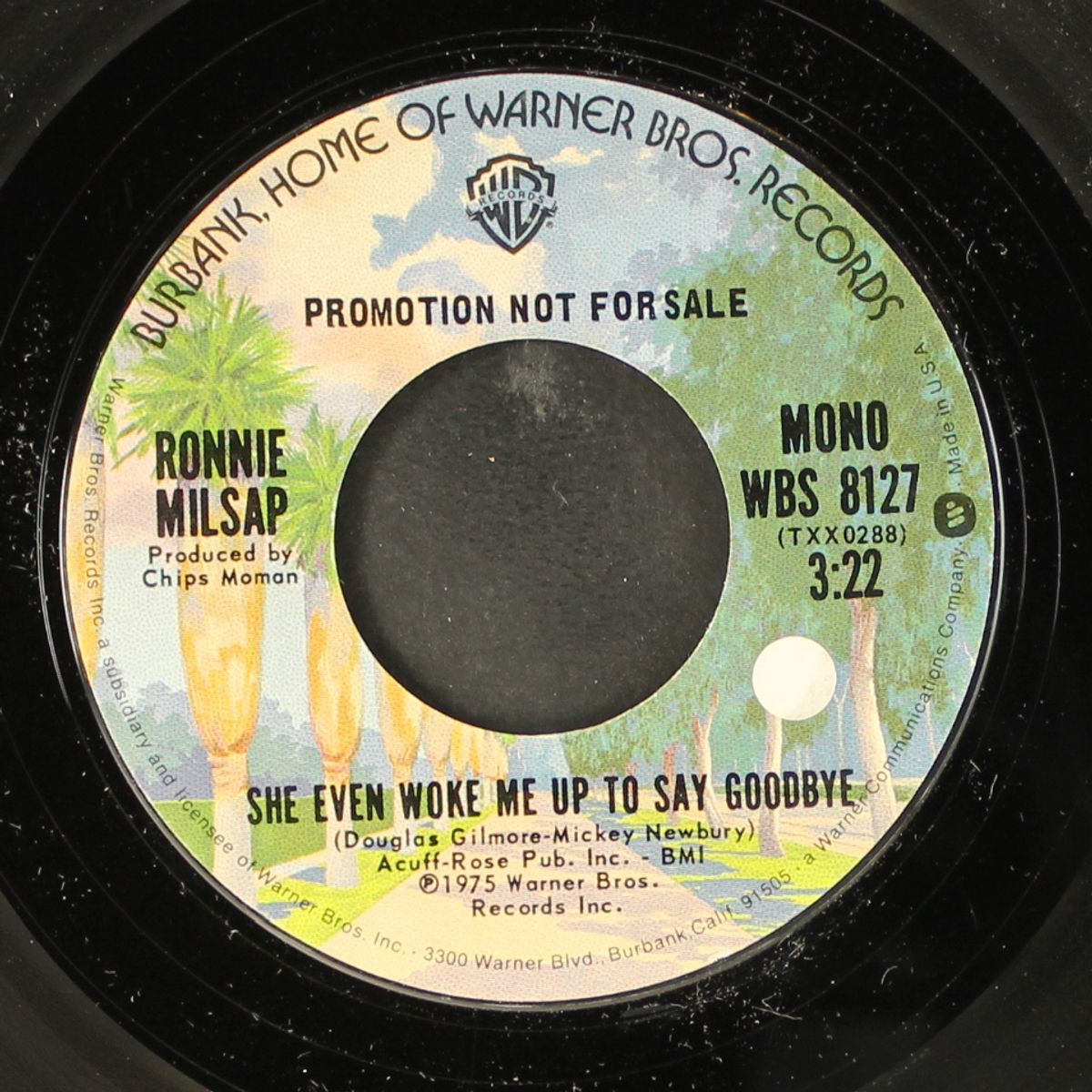 she even woke me up to say goodbye / mono by RONNIE MILSAP