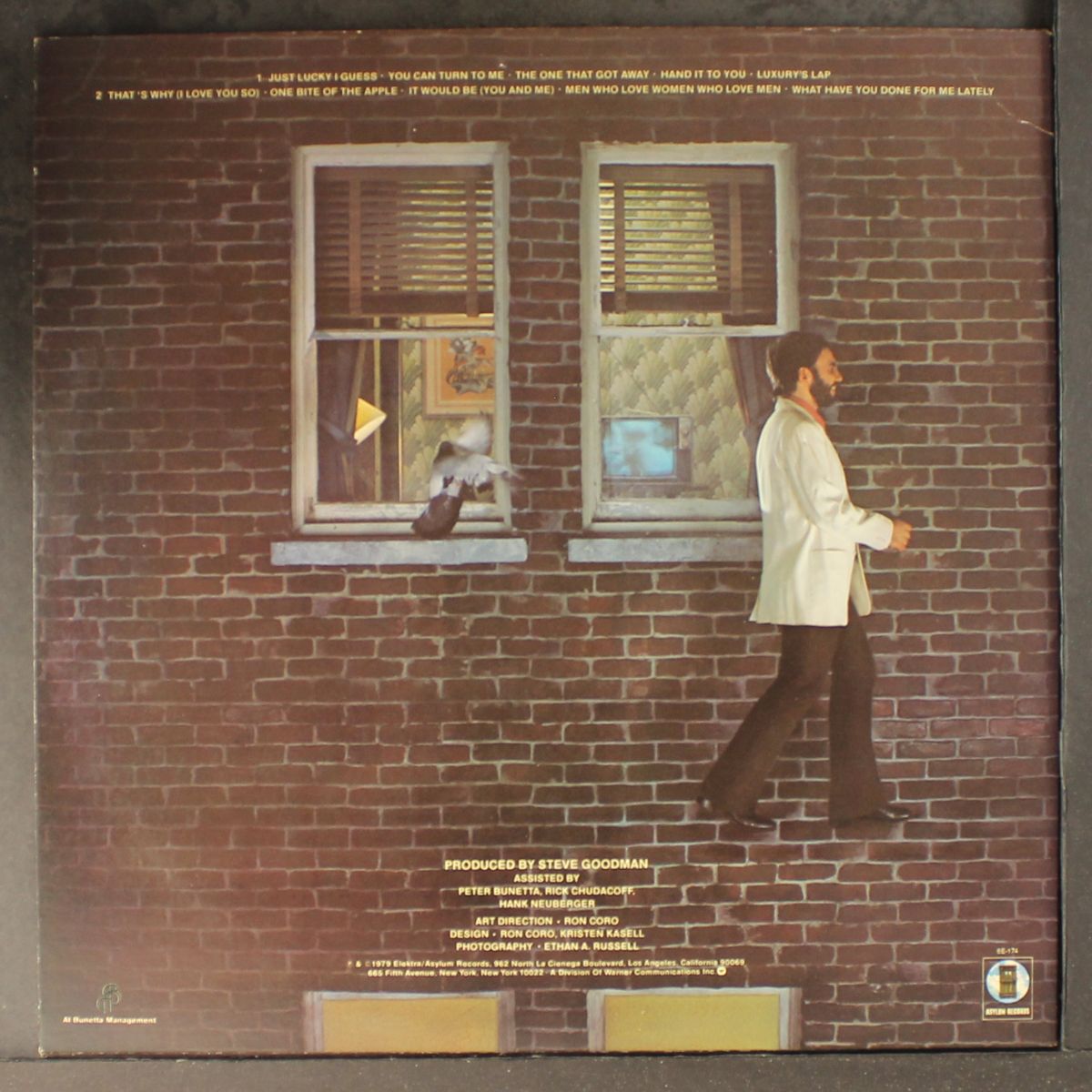 high and outside by STEVE GOODMAN