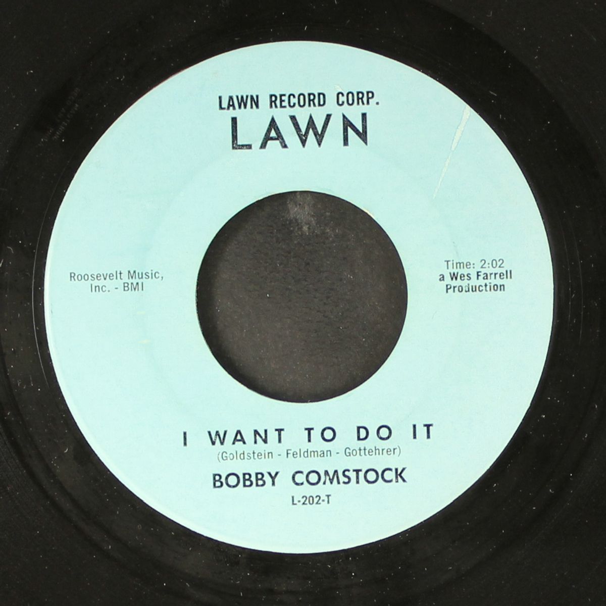 let's stomp / i want to do it by BOBBY COMSTOCK
