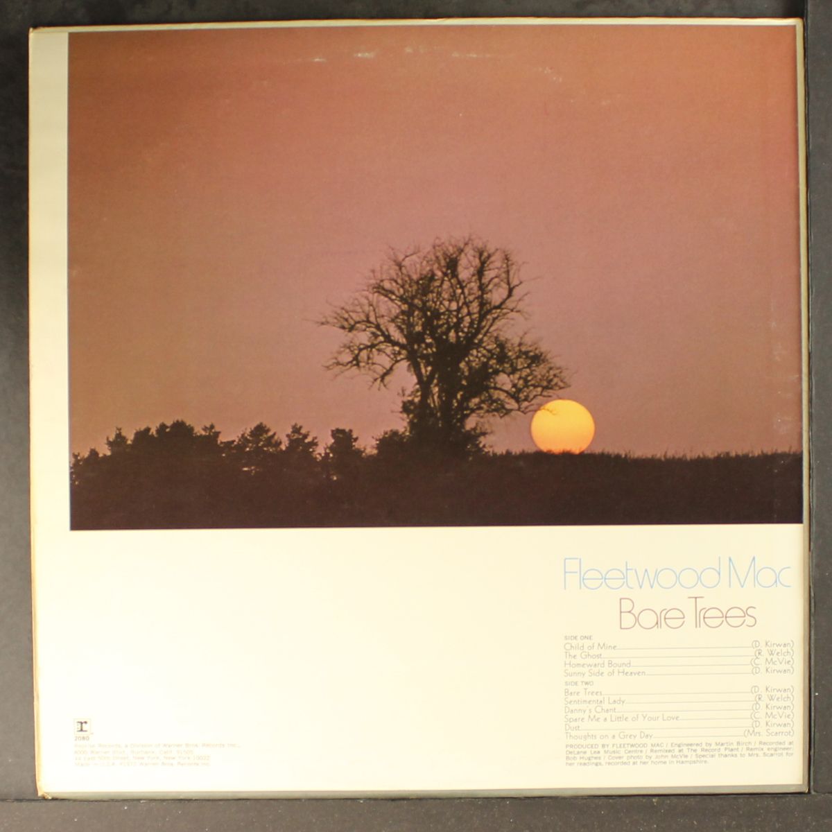 bare trees by FLEETWOOD MAC