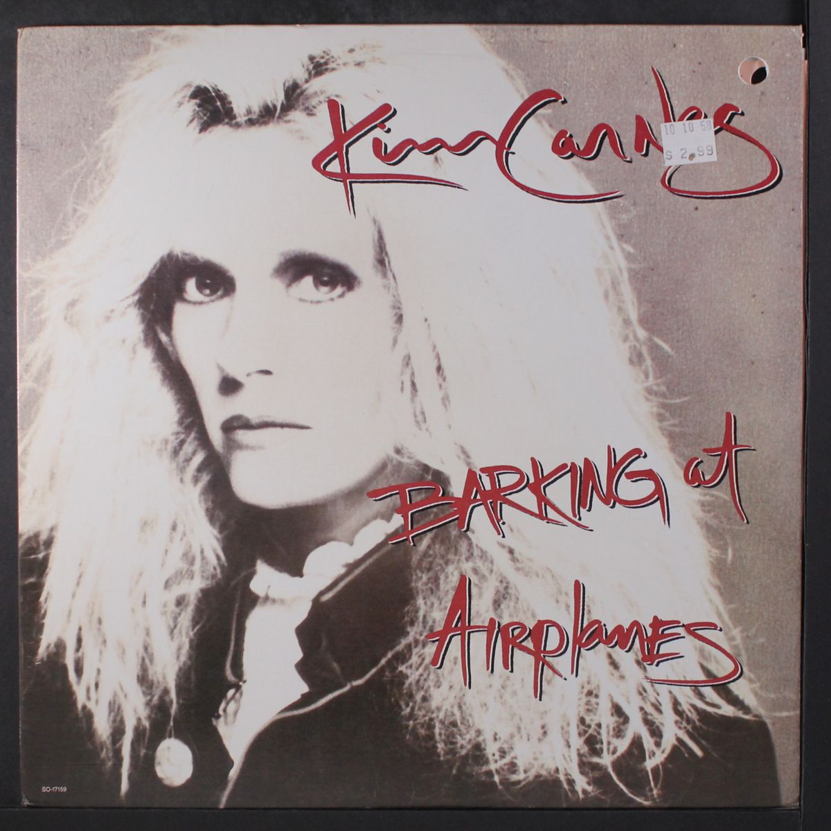barking at airplanes by KIM CARNES